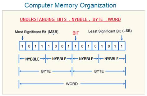 Memory Organization , Computer Organization And Architecture