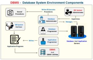 Database Management System | What Is DBMS | Types Of DBMS