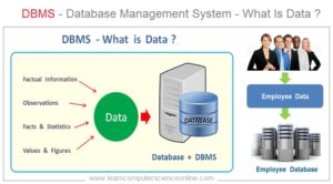 Database Management System | What Is DBMS | Types Of DBMS