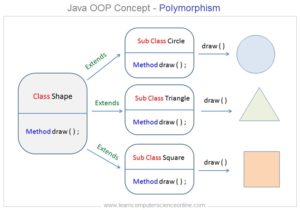 Java Programming Basics | Java Programming Tutorial For Beginners