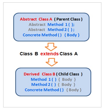 Abstract Class In Object Oriented Programming